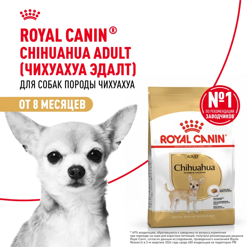 Сухой корм Royal Canin Cocker Adult для собак породы кокер-спаниель, 3 кг фото 14