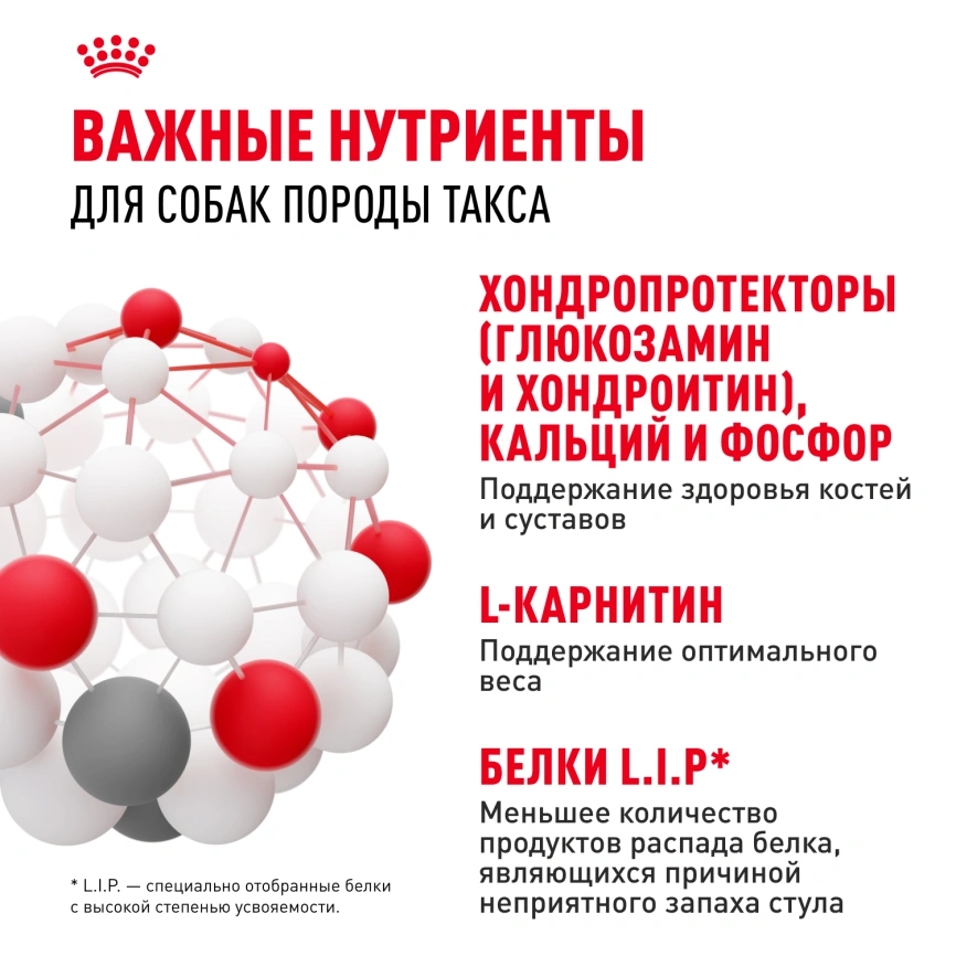 Сухой корм Royal Canin Dachshund Adult для собак породы такса, 1,5 кг фото 5