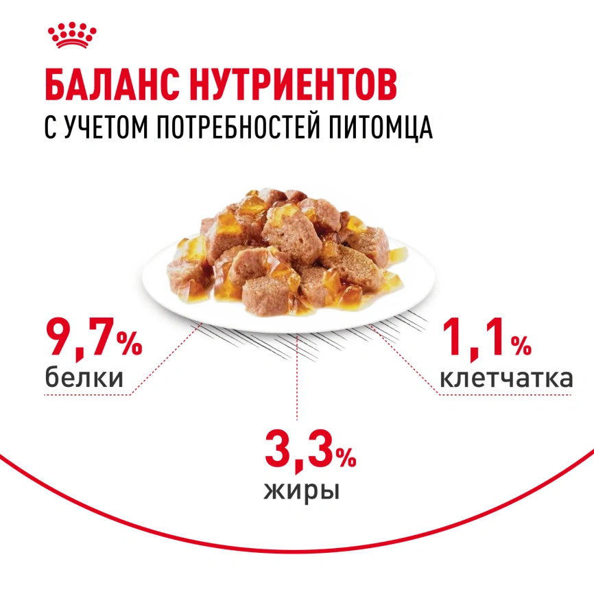 Влажный корм Royal Canin Indoor паштет для кошек, живущих в помещении, пауч, 85 г фото 4