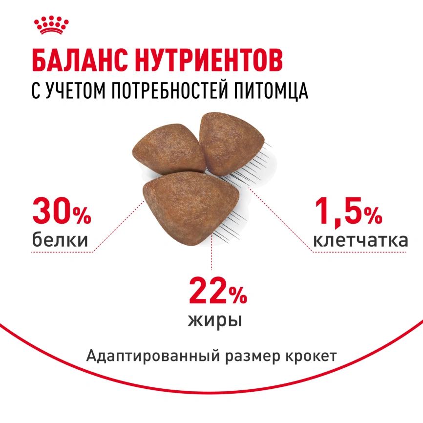 Сухой корм Royal Canin Mini Starter Mother & Babydog для щенков и кормящих сук, 3 кг фото 4